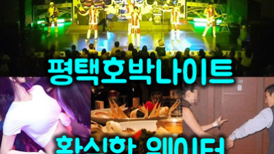 평택 호박나이트: 경기도 3040 세대의 마음을 사로잡는 매력의 비밀